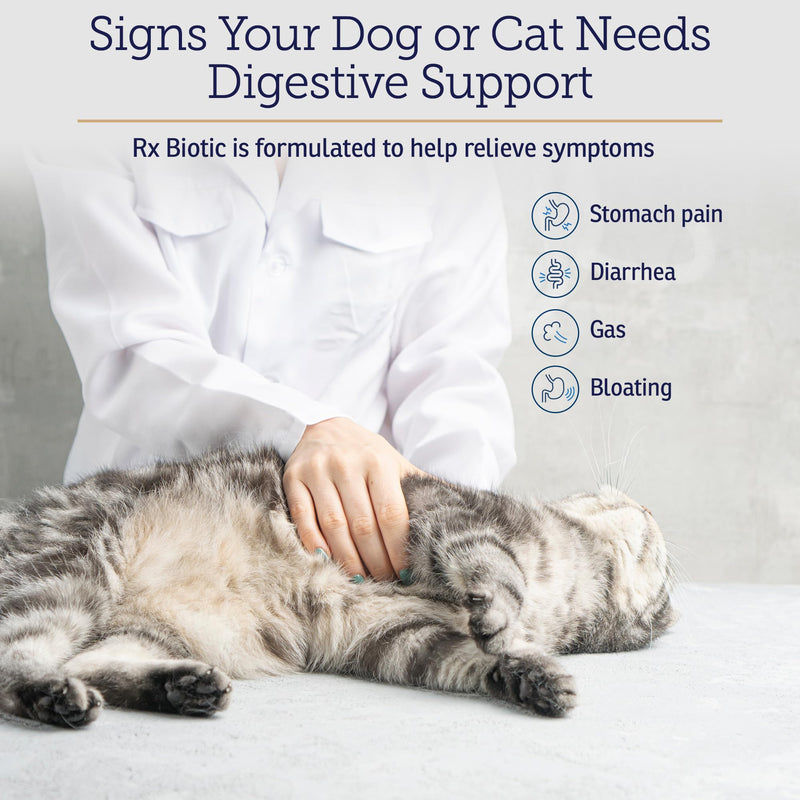 Rx Vitamins Rx Biotic - Probiotic Powder for Dogs and Cats - 1.25oz | Cat & Dog Probiotics for Digestive Health - Supports Gut Health for Dogs & Cats with Prebiotics New Label