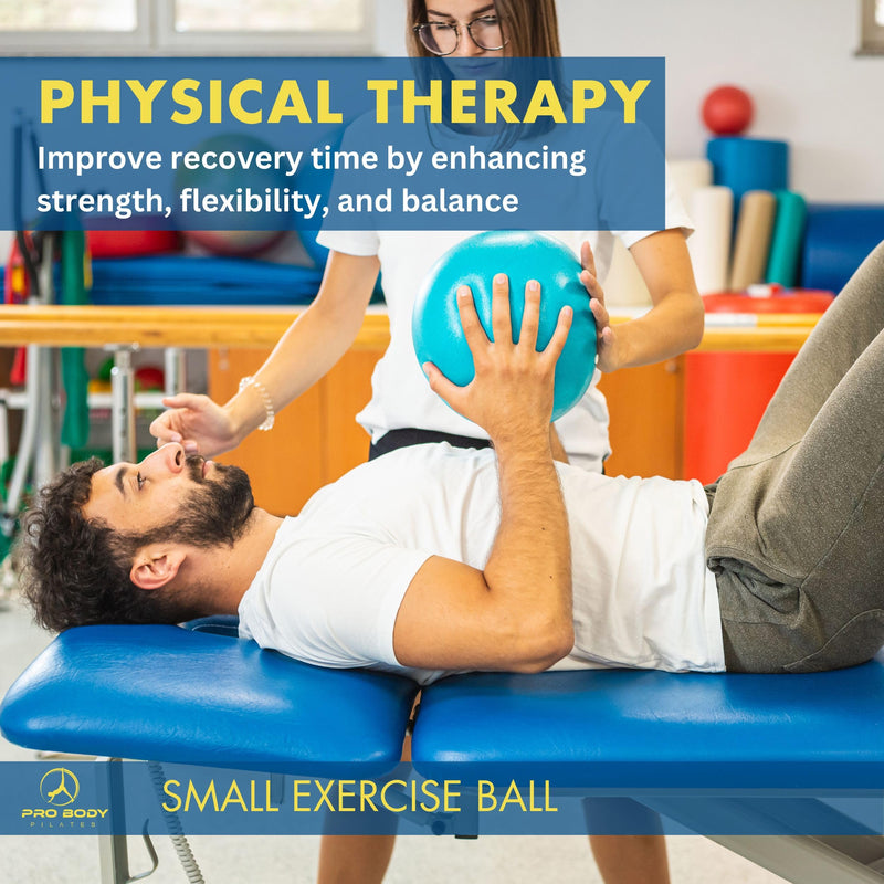 [Australia] - ProBody Pilates Ball Small Exercise Ball, 9 Inch Barre Ball, Mini Soft Yoga Ball, Workout Ball for Stability, Barre, Fitness, Ab, Core, Physio and Physical Therapy Ball at Home Gym & Office Blue 