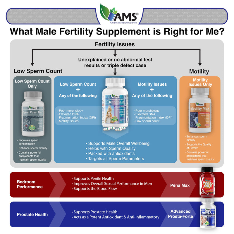 America Medic & Science Sperm Count Max (60 Capsules) | Male Fertility Supplement | Enhances Sperm Count and Reproductive Health | Prenatal Vitamins for Men | with Zinc, CoQ10, Vitamin C, B2, and B12 60 Count (Pack of 1)