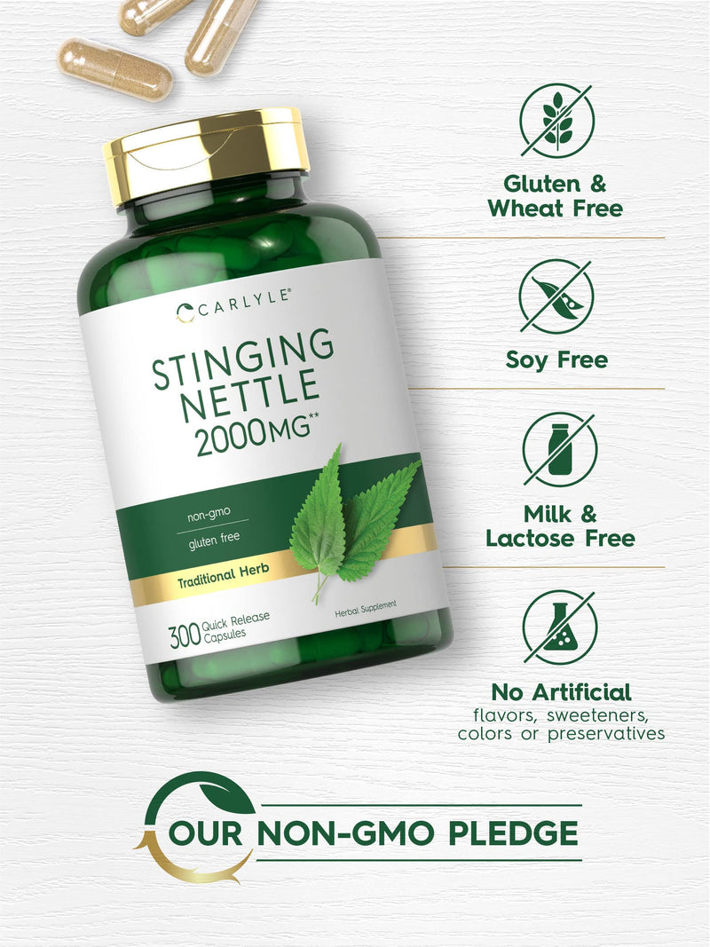 Carlyle Stinging Nettle Leaf Extract 2000mg | 300 Capsules | Non-GMO & Gluten Free Supplement