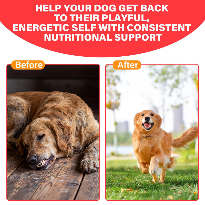 Iron Supplement for Dogs, – Supports Blood Health, Red Blood Cell Formation & Oxygen Supply, for Anemia, Vitamin C, Folate, Vitamin B12, Boost Energy, and Improve Blood Circulation, 120 Tablets