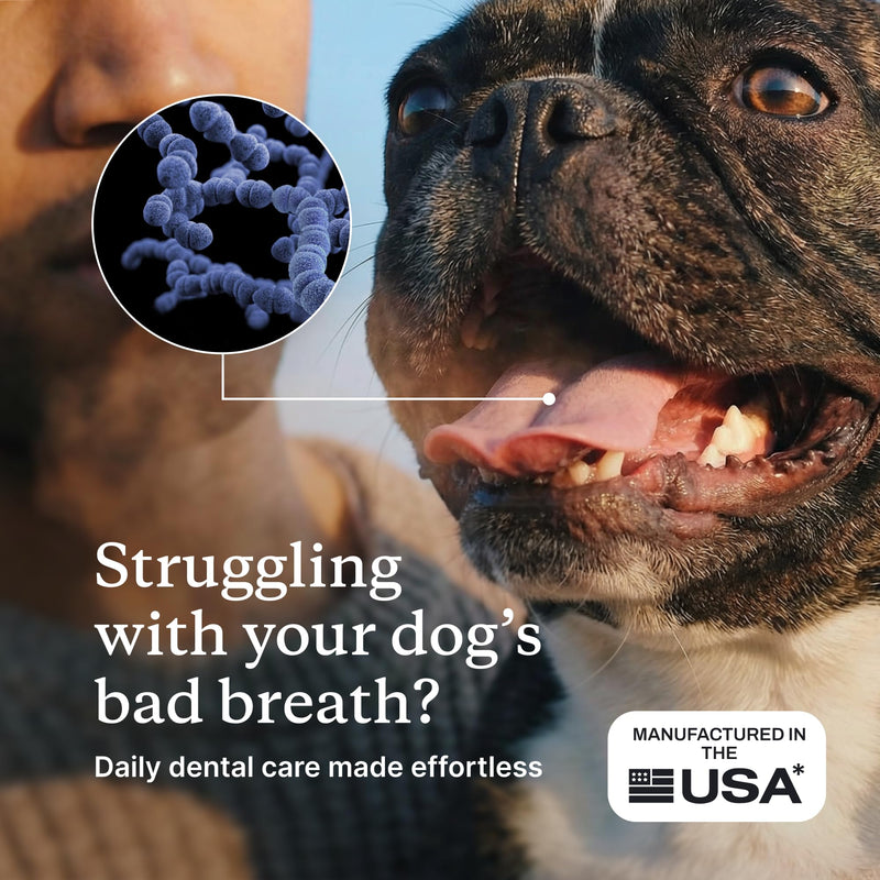PetLab Co. ProBright Dental Powder for Small Dogs, 30 Scoops | Brown algae, green tea and probiotics in one easy daily scoop to support tartar and fresh breath