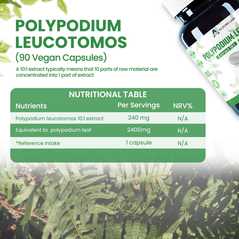 Polypodium Leucotomos | 2,400mg Equivalent | 240mg 10:1 Fern Extract | 90 Vegan Capsules | GMP & 3rd Party Lab Tested