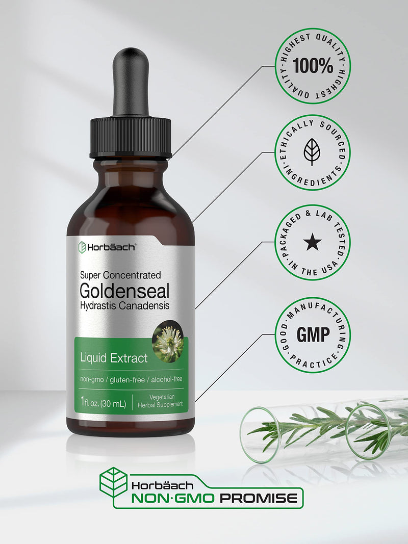 Horbäach Goldenseal Root Extract Liquid | 1 fl oz Tincture | Super Concentrated | Alcohol Free | Vegetarian, Non-GMO, Gluten Free