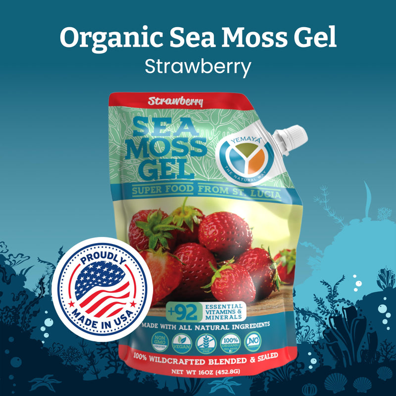 Yemayá Organic Sea Moss Gel Organic Raw | Wildcrafted Seamoss Gel Enhanced with Real Fruit, Supports Immunity, Energy, Digestion, Hair, Skin & Nails | 16 oz, Strawberry Flavor | Wildcrafted sea moss gel with real strawberry for immune and gut health su...