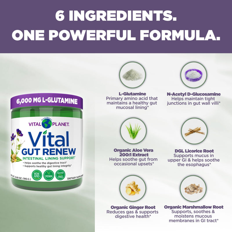 Vital Planet - Vital Gut Renew Powder Supplement for Leaky Gut Repair with L-Glutamine, Marshmallow and Ginger Root, DGL Licorice Root and Organic Aloe Vera, L Glutamine 6000mg 6.88 oz