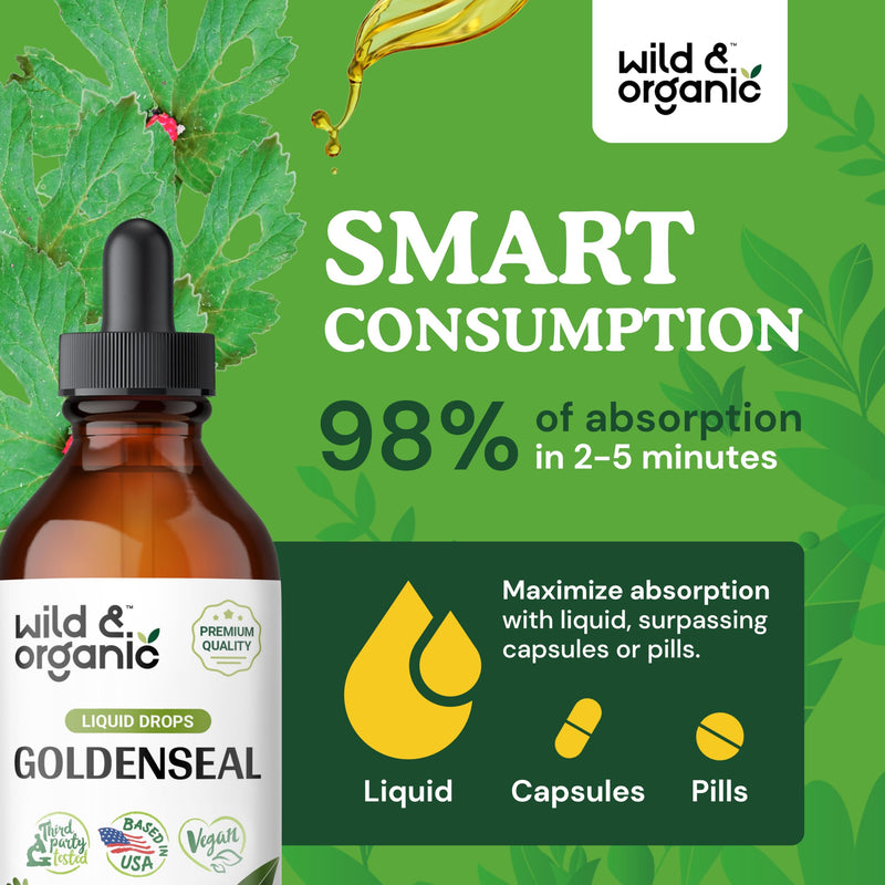 [Australia] - Goldenseal Tincture - Respiratory Lung Health Drops - Organic Goldenseal Root for Lung Cleanse - Lung Support Goldenseal Root Liquid - Digestive Health w/Goldenseal Extract - Goldenseal Drops - 4 oz 4 Fl Oz (Pack of 1) 
