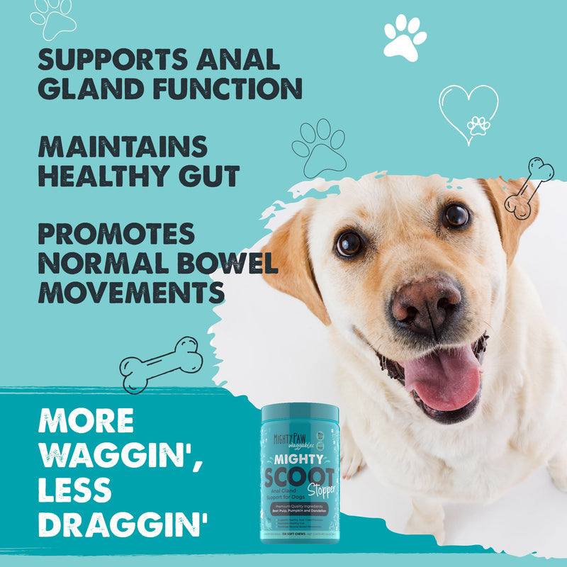 Mighty Paw Waggables Mighty Scoot (Made in USA) | Dog Digestive Support Anal Gland Chews. Anal Gland Scoot for Dogs. Beet Pulp & Pumpkin Fiber Supplements. Pet Bowel Gut Health (120 Count) - PawsPlanet Australia