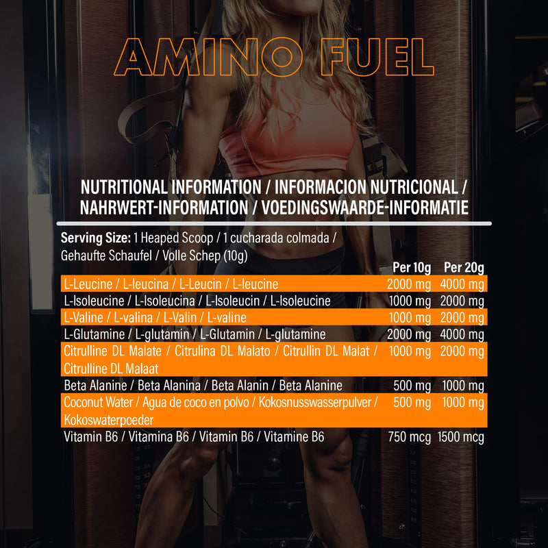 NXT Nutrition Amino Fuel Energy Drink | BCAAs Amino Acids with Beta Alanine, Vitamin D3 and Citrulline Malate – for Performance, Endurance and Energy Support | (Orange)