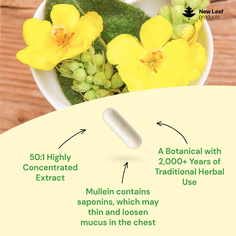Mullein Leaf Extract for Lungs 15,000mg – High Strength 50:1 Concentrate, 4 Month Supply – 120 Vegan Mullein Leaf Capsules – UK Made by New Leaf