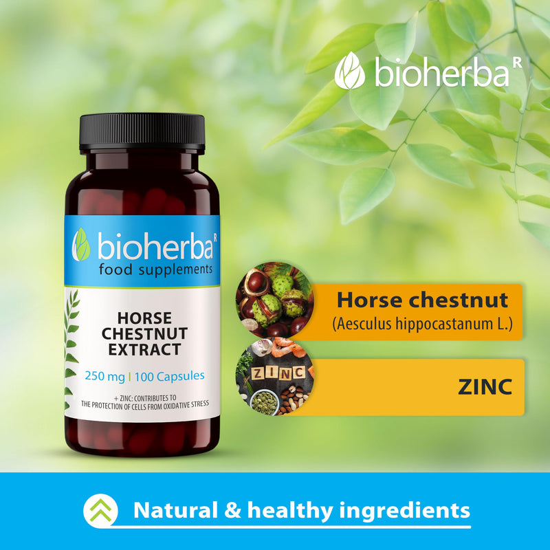 Horse Chestnut Extract 250 mg – 300 Capsules | Traditional Herbal Supplement for Vein Health and Daily Circulation Support 300 pcs