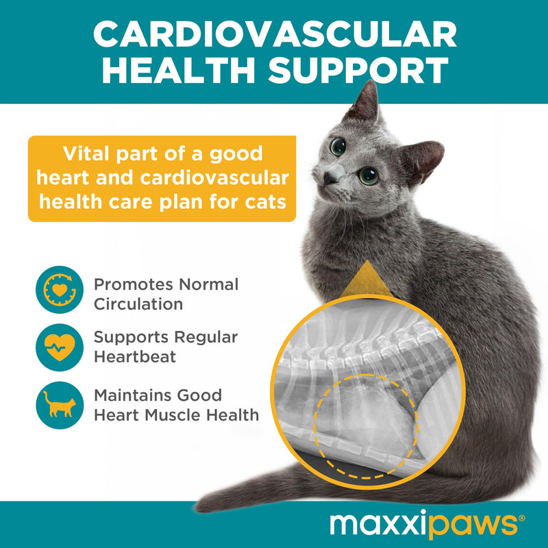 maxxicardio Heart & Cardiovascular Powder Supplement for Cats, 3.2oz - PawsPlanet Australia