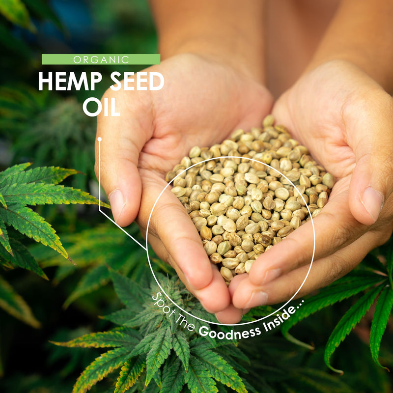 Organic Hemp Seed Oil 1440mg - Rich in Omega Fatty Acids – 120 Liquid Capsules – Cold-Pressed, Zero Additives – Resealable and Recyclable Pouch by Alpha01 1 count (Pack of 120)