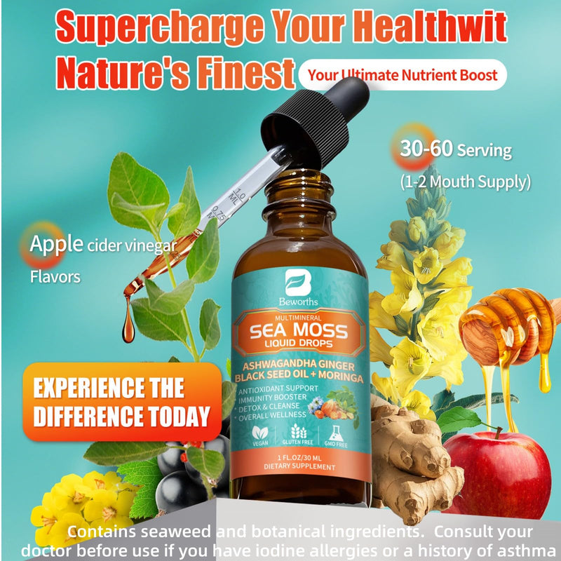 [Australia] - 2PACK Sea Moss Drops - Irish Sea Moss Chlorophyll Liquid with Black Seed Oil, Ashwagandha, Moringa, Turmeric, Elderberry, Mullein, Seamoss Gel Supplement for Lung Cleaner, Detox & Gut, Immune Support 1 Fl Oz (Pack of 2) 