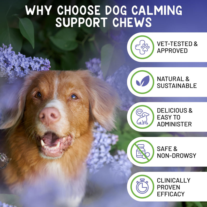 Dog Calming Chews - Anxiety Relief Treats - Calming Chews for Dogs with Natural Souroubea - Calming Treats for Dogs Help Manage Stress and Promote Relaxation, Anxiety Relief for Dogs, Made in the USA - PawsPlanet Australia