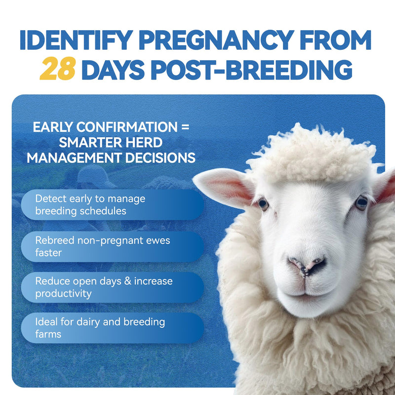 Sheep/Ovine/Goat Early Pregnancy (PAGs) Rapid Test Kit - 2 Tests, Hormones (PAGs), Whole Blood/Serum/Plasma Testing, Detect Pregnancy as Early as 28 Days Post-Breeding