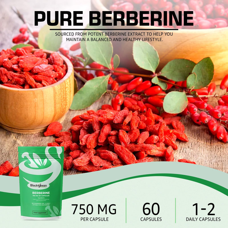 Black Swan Berberine Supplement 750mg Capsules - Pure Berberine HCL High Strength Supplement - Berberine Weight Loss Vegan Formulated Capsule Anti-oxidant and Anti-inflammatory - 60 Capsules 60 count (Pack of 1)