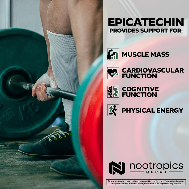 [Australia] - Nootropics Depot Epicatechin Tablets | 200mg (‚àí)‚àíEpicatechin + 6mg Piperine for Bioavailability | Green Tea Extract | Promotes Muscle Mass, Cardiovascular Health, and Energy | 30 Count 30 Count (Pack of 1) 