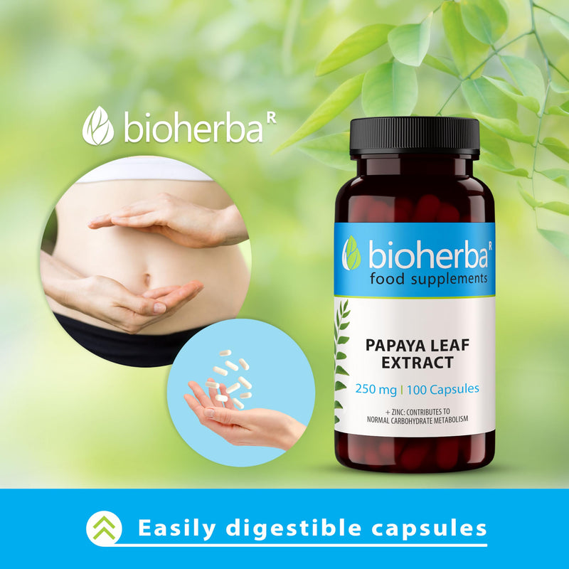 Papaya Leaf Extract 250 mg – 200 Capsules | Plant-Based Digestive Supplement with Natural Enzymes for Daily Wellness