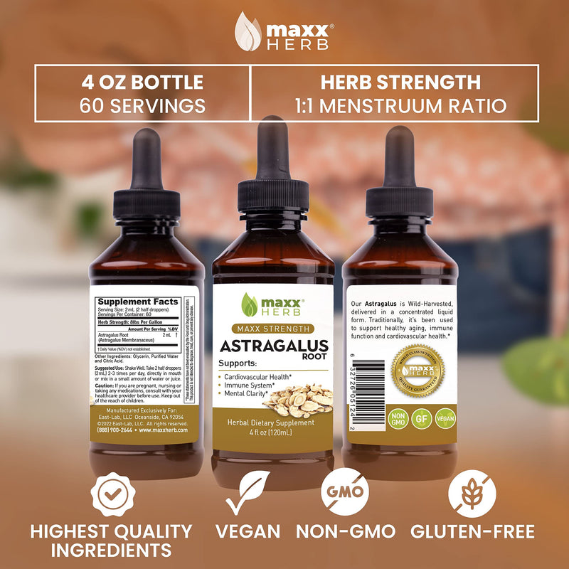 [Australia] - Maxx Herb Astragalus Root Extract - Max Strength Liquid Tincture Absorbs Better Than Capsules or Powder, for Immune Support and Mental Clarity - 4 Oz Bottle (60 Servings) 4 Fl Oz (Pack of 1) 
