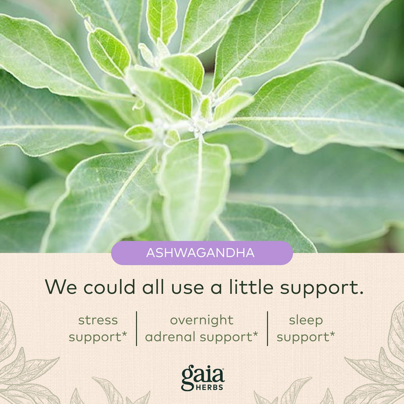 [Australia] - Gaia Herbs Adrenal Health Nightly Restore - Herbal Supplement with Ashwagandha, Magnolia Bark, Cordyceps, Lemon Balm, and More - 120 Vegan Liquid Phyto-Capsules (60 Servings) 120 Count (Pack of 1) 