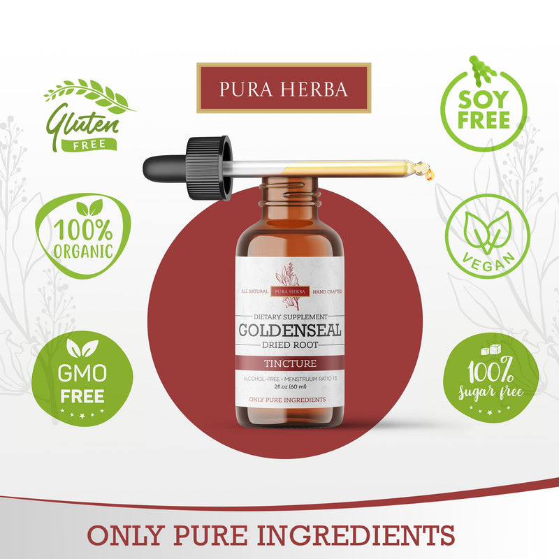 [Australia] - Goldenseal Root Liquid Extract - 2 Fl Oz - Goldenseal Tincture, Alcohol Free, Vegan - 2 Fl Oz 
