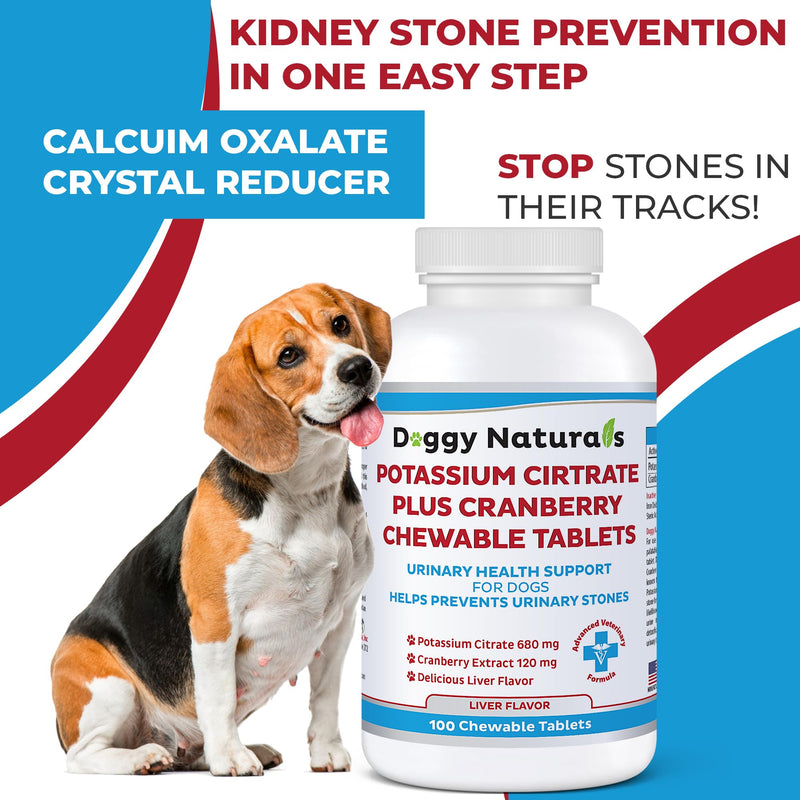 Potassium Citrate Plus Cranberry Supplement for Dogs (100 Tablets) - Urinary Tract Support-Helps Deter Formation of Calcium Oxalate Stones - Deters Bladder & Kidney Stones (Made in U.S.A) - PawsPlanet Australia