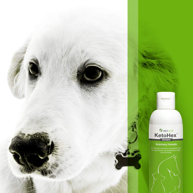 Vet One Dog Allergy Shampoo - Vet formula dog Shampoo for Dogs 8 oz - PawsPlanet Australia