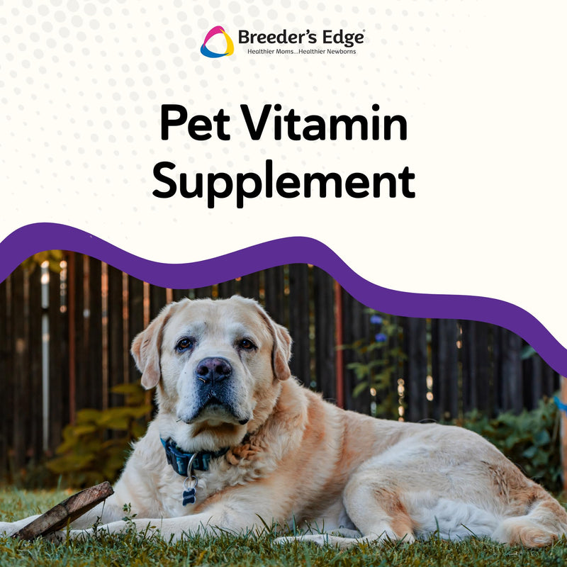 Breeder's Edge B Strong Liquid Vitamin B Supplement for Dogs & Cats, 8 oz | B Vitamins Support Reproductive Health, Normal Heat Cycles, Energy Production, Appetite, Heart Health, Stamina & Vitality 8 oz - Liquid