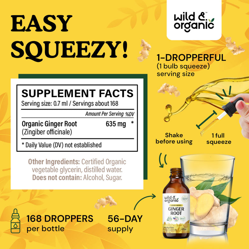 [Australia] - Ginger Root Drops - Immune Support Supplement w/Ginger Organic - Alcohol-Free Ginger Extract Liquid for Digestive Health and Immunity - Liquid Ginger Supplement for Digestion - 4 oz 4 Fl Oz (Pack of 1) 