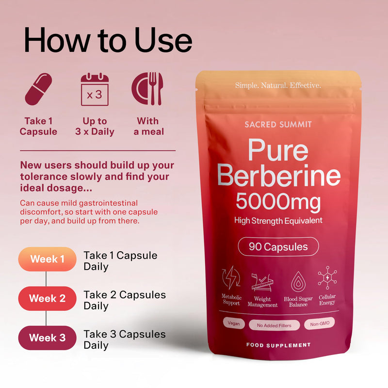 Pure Berberine 500mg – 10:1 Extract (5000mg Equivalent) – Vegan Capsules – Premium Plant-Based Supplement for Everyday Balance and Vitality – 90 Capsules
