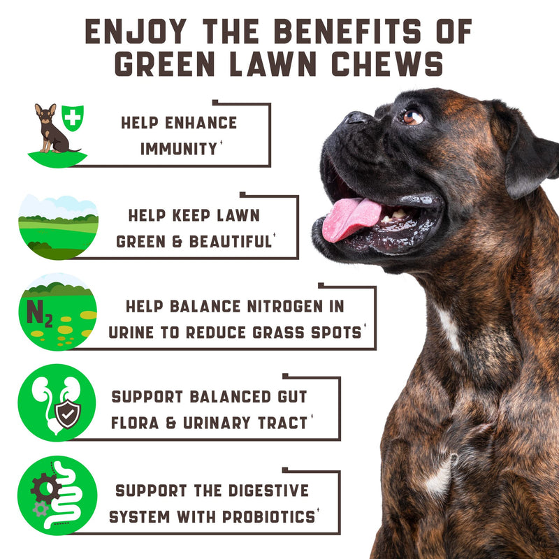 Green Lawn Chews for Dogs - Natural Dog Urine Neutralizer for Lawn with Cranberry, Probiotics, ACV & Digestive Enzymes - 180 Chews for Healthy Bladder, Urinary Tract - Grass Burn, Yellow Spots Treats Duck - 180 Chews (Pack of 2) - PawsPlanet Australia