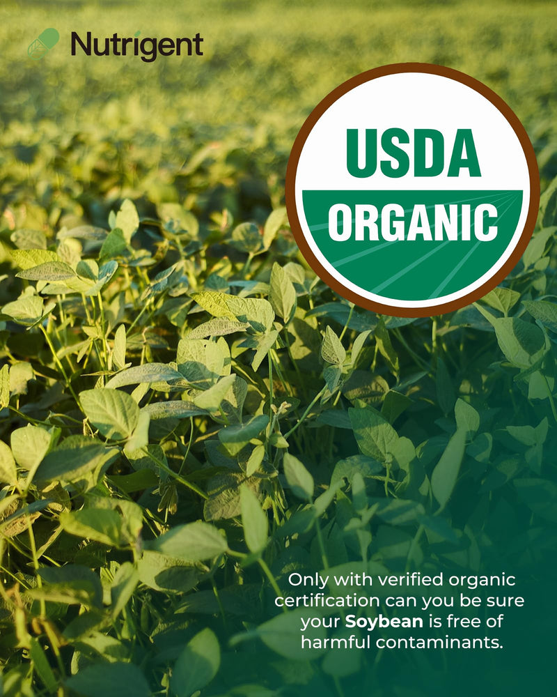 [Australia] - USDA Organic Soy Lecithin Supplement 800 mg, High Absorption Liquid Organic Capsules, Choline Lecithin Supplement for Brain & Liver Health Support, Non-GMO, Gluten Free, 60 Count 1 