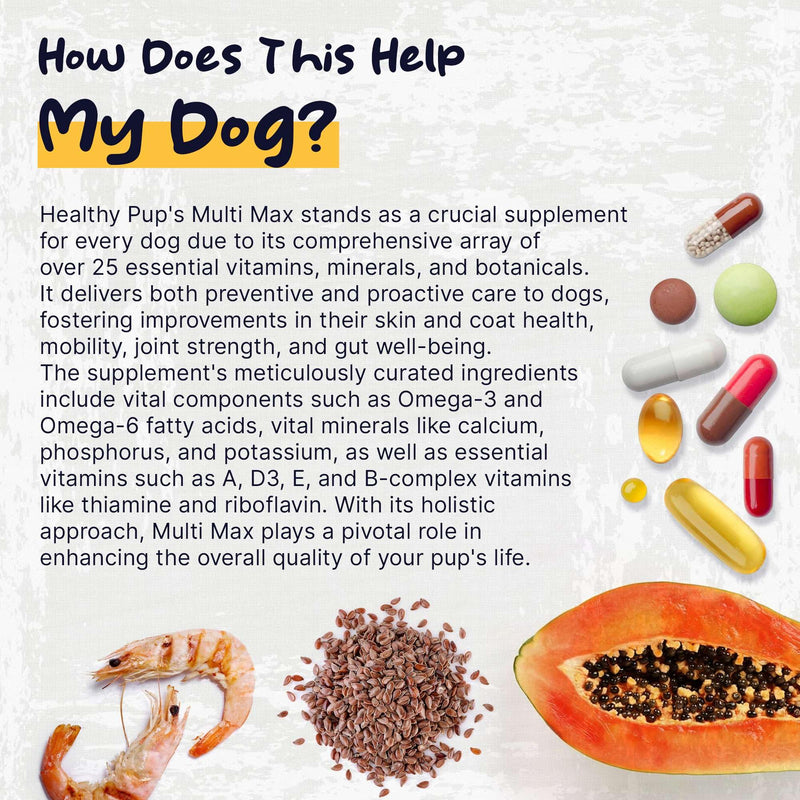 Dog Multivitamin Supplement - 120 Soft Chew Dog Vitamins and Supplements with Omega, Probiotics, Glucosamine, and More - for Small, Large, and Senior Dogs - PawsPlanet Australia