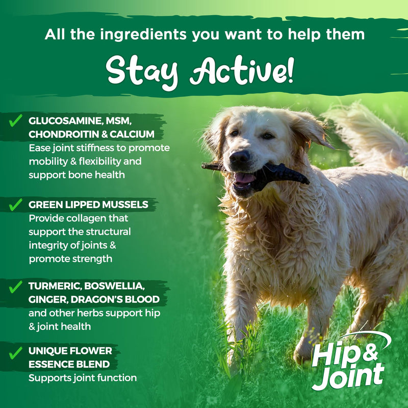 Vital Planet - Natural Hip and Joint Supplement for Dogs - Potent Herbal Blend with Green Lipped Mussel, MSM and Glucosamine Beef Flavor (60 Chewable Tabs) - PawsPlanet Australia