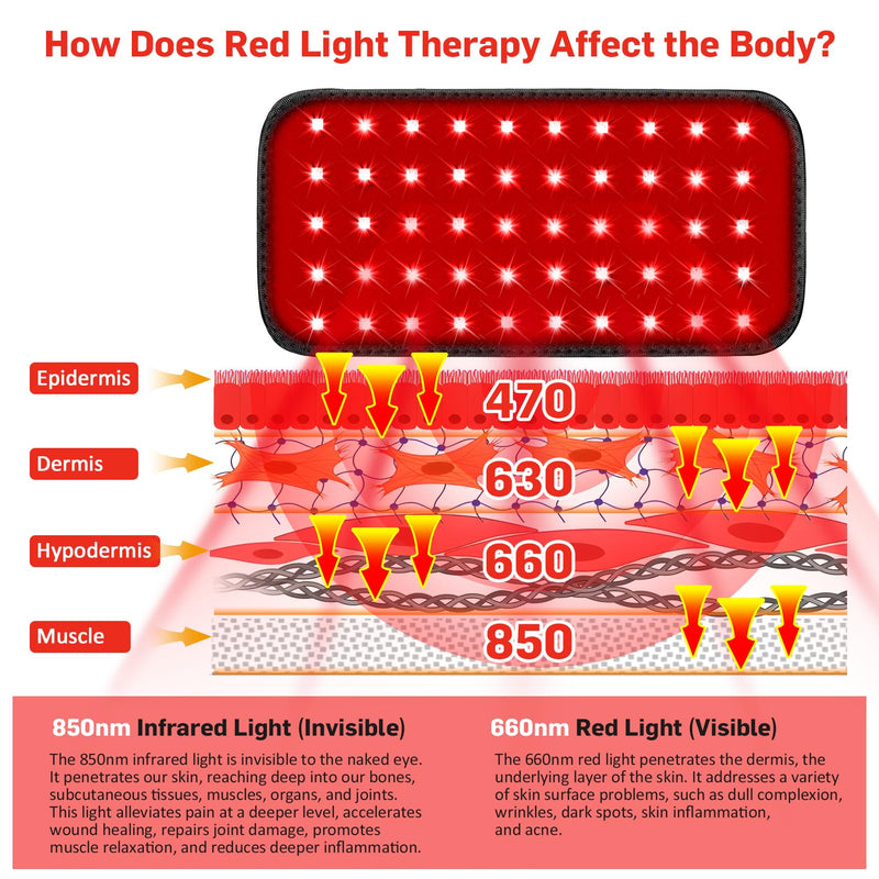 [Australia] - Red Light Therapy Belt, Infrared Light Therapy for Body, Wearable Wrap with Timer for Back Shoulder Waist Muscle Pain Relief, Improve Joint Inflammation, Red Light Therapy for Body L 