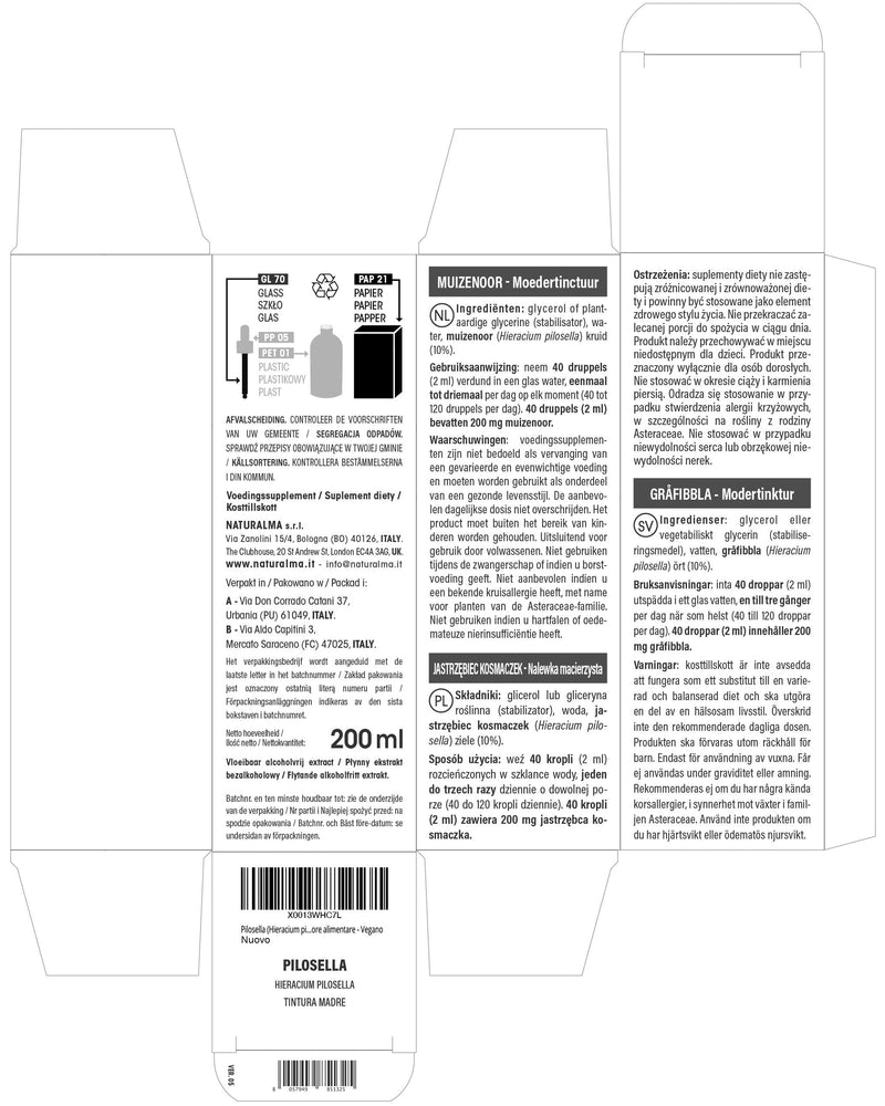 Mouse-Ear Hawkweed (Hieracium pilosella) herb Alcohol-Free Mother Tincture Naturalma - Liquid Extract Drops 200 ml - Food Supplement - Vegan 200 ml (Pack of 1)