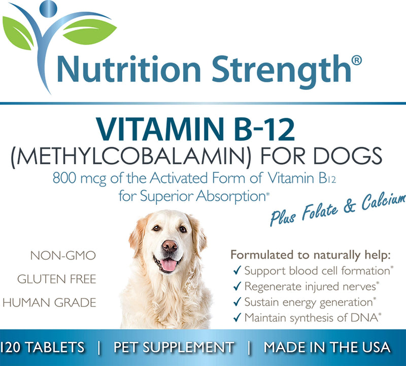 Vitamin B12 for Dogs Plus Folate & Calcium, Support the Nervous System & Blood Cell Formation, Help Sustain Cellular Energy Generation & Maintain DNA Synthesis, 120 Chewable Tablets - PawsPlanet Australia