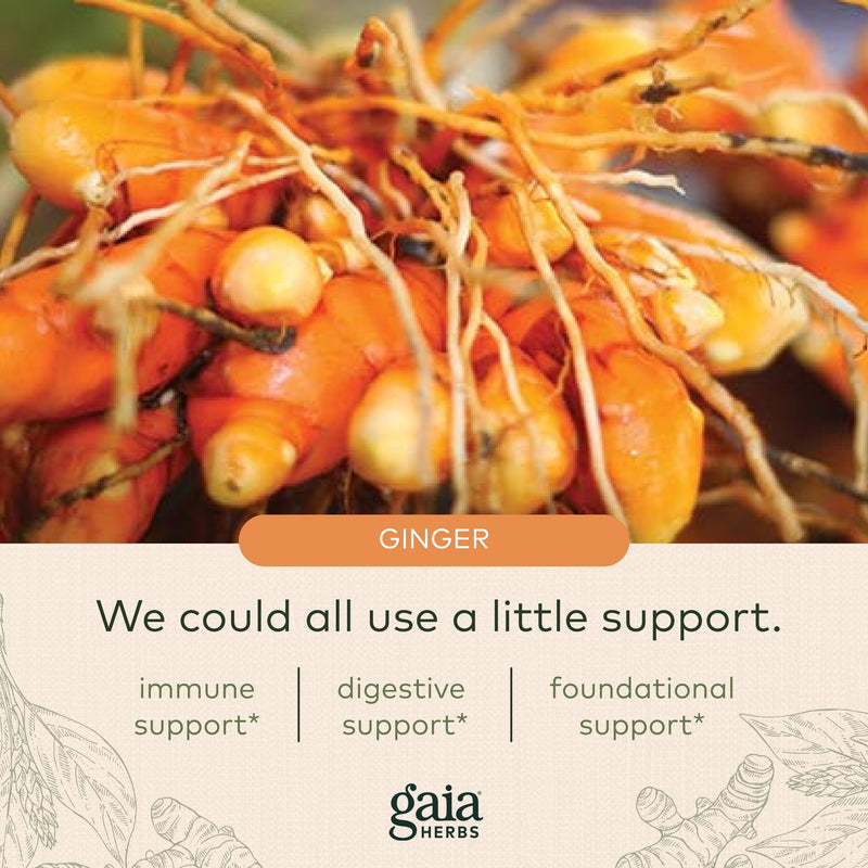 [Australia] - Gaia Herbs Ginger Supreme - Supports Healthy Digestion and Relieves Occasional Nausea - with Organic Ginger Root and Turmeric Root - 60 Vegan Liquid Phyto-Capsules (60-Day Supply) Standard Packaging 