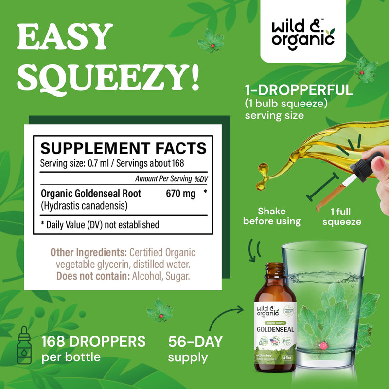 [Australia] - Goldenseal Tincture - Respiratory Lung Health Drops - Organic Goldenseal Root for Lung Cleanse - Lung Support Goldenseal Root Liquid - Digestive Health w/Goldenseal Extract - Goldenseal Drops - 4 oz 4 Fl Oz (Pack of 1) 
