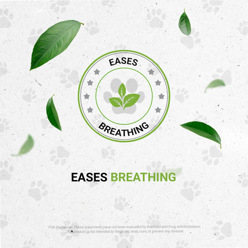 Birds Respiratory | Natural Herbal Dietary Pet Supplement for Birds | Healthy Respiratory System Support in Birds | Alcohol-Free Extract, Peppermint, Marshmallow, Calendula, Turmeric, Thyme 2 oz - PawsPlanet Australia