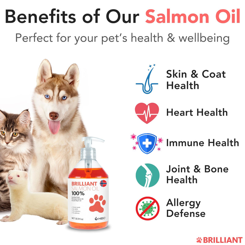 Salmon Oil for Dogs - Healthy Skin & Coat, Natural Norwegian Omega 3 Fish Oil Food Supplement, EPA & DHA Fatty Acids, Ideal for Shedding, Allergy, Itching, Dry Skin, Joint & Bone Health - (2 x 16.9oz) 16.9 oz (Pack of 2) - PawsPlanet Australia