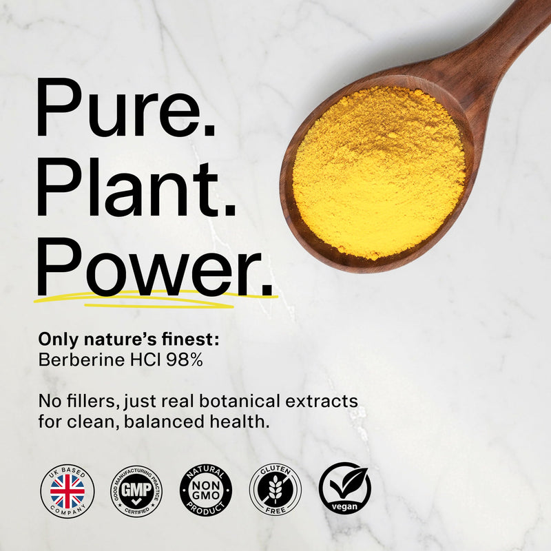Pure Berberine 500mg – 10:1 Extract (5000mg Equivalent) – Vegan Capsules – Premium Plant-Based Supplement for Everyday Balance and Vitality – 90 Capsules
