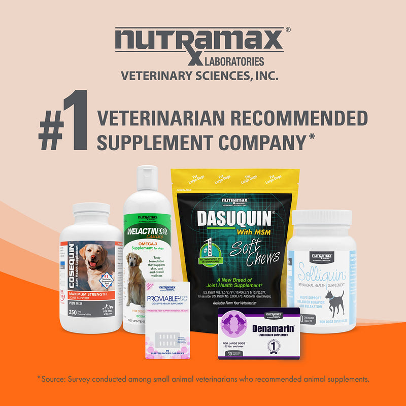 Nutramax Laboratories Nutramax Imuquin Immune Health Supplement Powder for Dogs, with Beta Glucans, Marine Lipids, Vitamins and Minerals, 30 Packets, Updated Version - PawsPlanet Australia