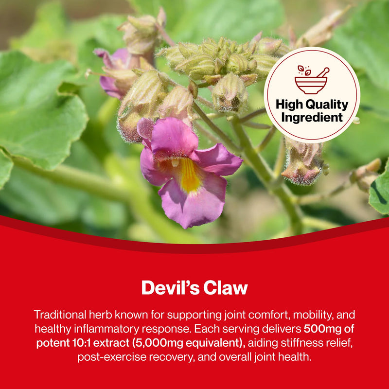 Hepatica Devil's Claw (Harpagophytum Procumbens) 5,000mg Equivalent | 500mg 10:1 Root Extract | 120 Vegan Capsules | 4-Month Supply | 3rd Party Lab Tested