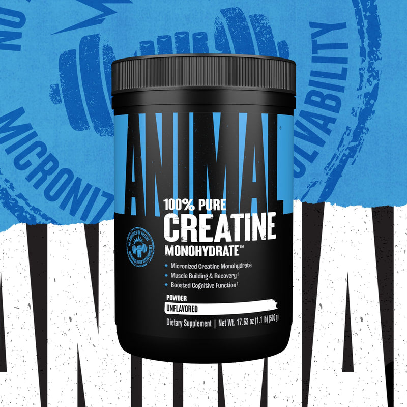 ANIMAL Pure Creatine Monohydrate – Pure, micronised Creatine Monohydrate Powder – 5 g Creatine per Serving – Easily Absorbed & unflavoured – 500 g 100 Servings (Pack of 1)