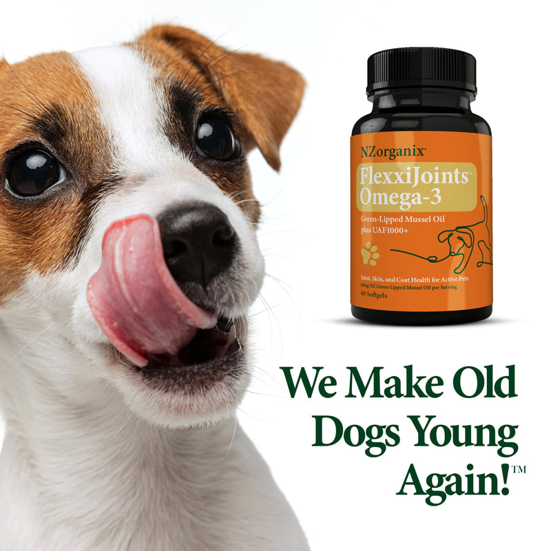 FlexxiJoints Omega-3 Hip and Joint Supplement • Green-Lipped Mussel Omega-3 Oil for Dogs • 100% New Zealand Green-Lipped Mussels (60 Softgels) - PawsPlanet Australia