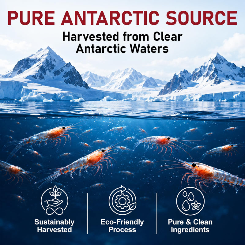 Antarctic Krill Oil 2000mg Softgels with Omega-3s EPA, DHA, Astaxanthin and Phospholipids Supplement 120 Softgels