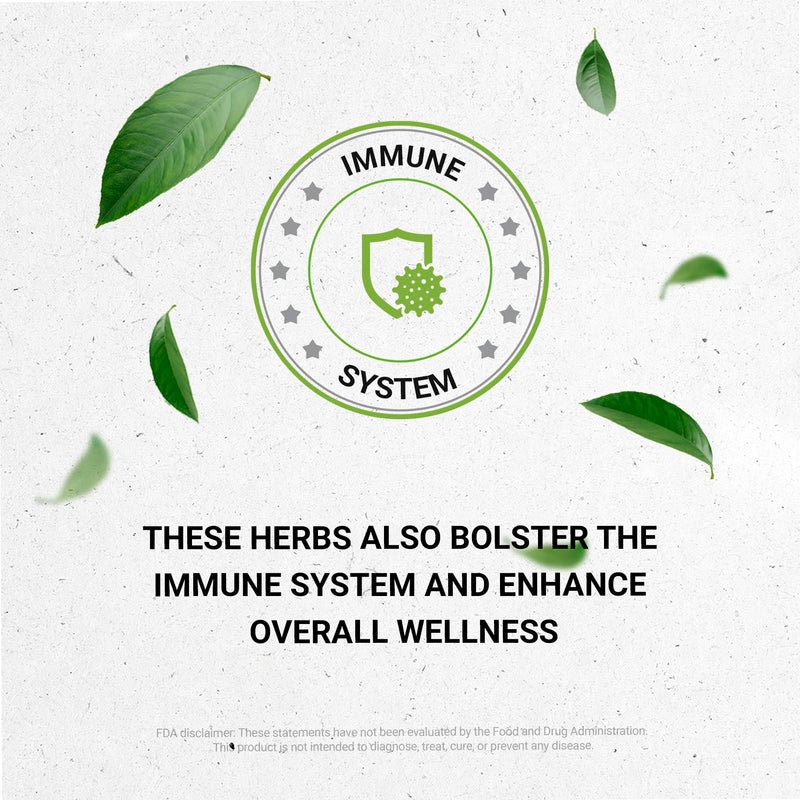 [Australia] - Secrets of the Tribe Muira Puama and Catuaba Alcohol-Free Liquid Extract (Ptychopetalum Olacoides and Erythroxylum Catuaba) Dried Bark Tincture Supplement (4 FL OZ) 4 Fl Oz (Pack of 1) 