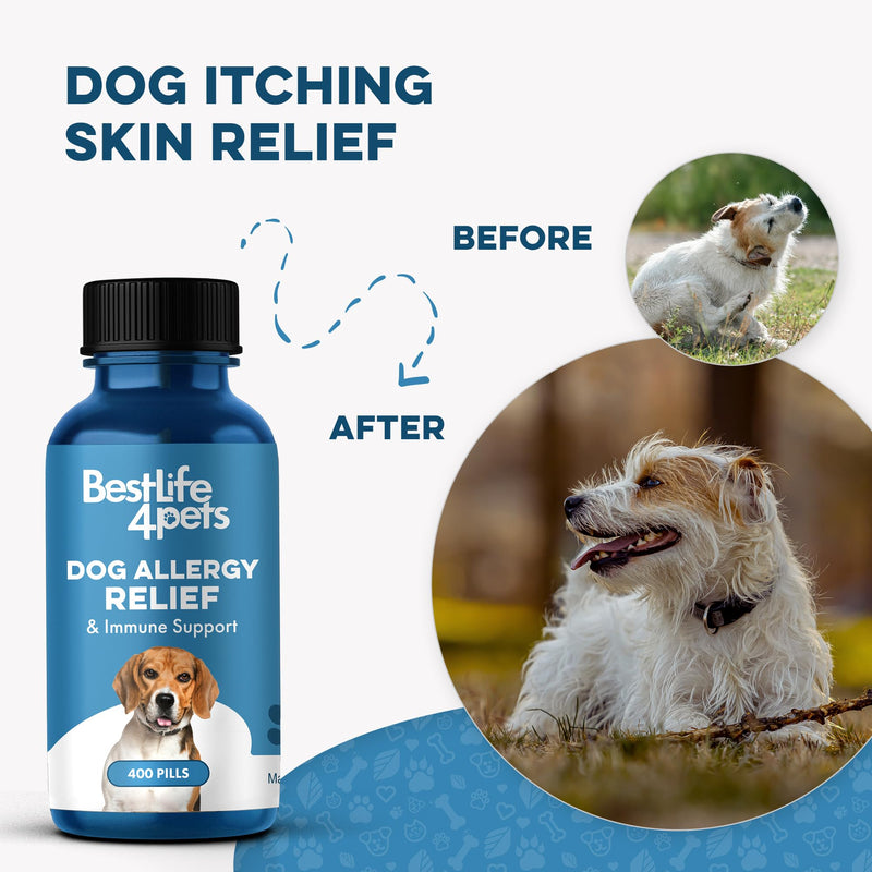 Dog Allergy Relief & Immune Support, Natural Holistic Itch Relief for Dogs, Immune System Guard and Allergy Support, Including Seasonal Allergies, Sneezing, Runny Nose and Itching, 400 Small Pills - PawsPlanet Australia